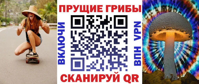 что такое   Новомосковск  Псилоцибиновые грибы Psilocybine cubensis 